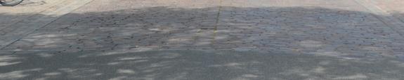 Banner Banner