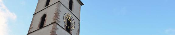 Banner Banner