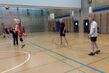 Plausch-Volley Plausch-Volley