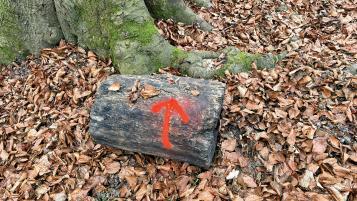 Schnitzeljagd Schnitzeljagd